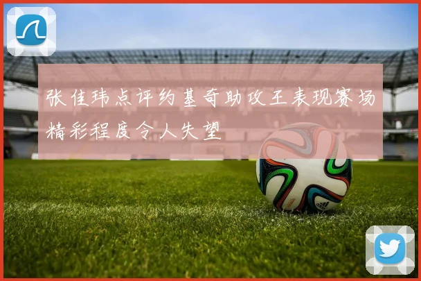 张佳玮点评约基奇助攻王表现赛场精彩程度令人失望