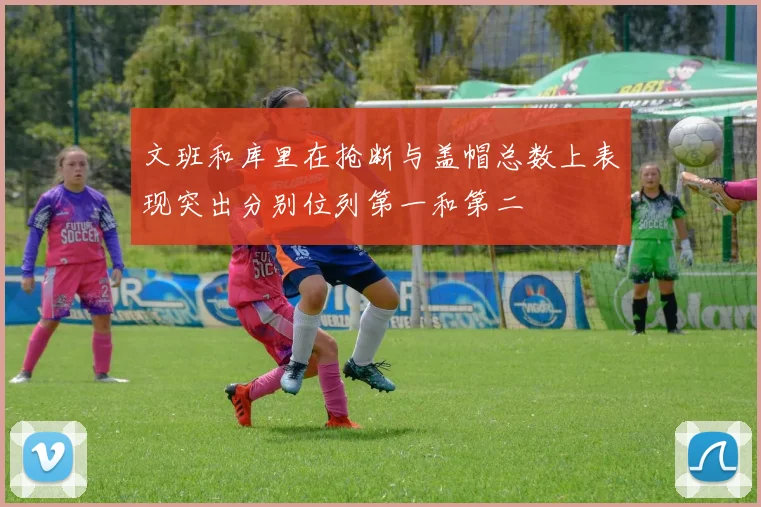 文班和库里在抢断与盖帽总数上表现突出分别位列第一和第二