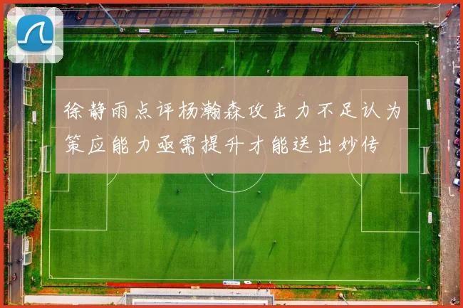 徐静雨点评杨瀚森攻击力不足认为策应能力亟需提升才能送出妙传