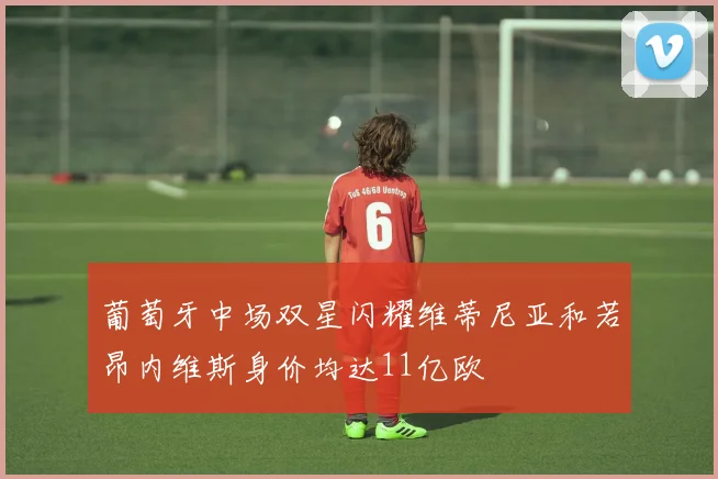 葡萄牙中场双星闪耀维蒂尼亚和若昂内维斯身价均达11亿欧
